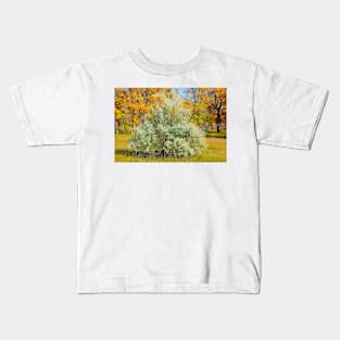 Cherry Creek Trail Study 2 Autumn Kids T-Shirt